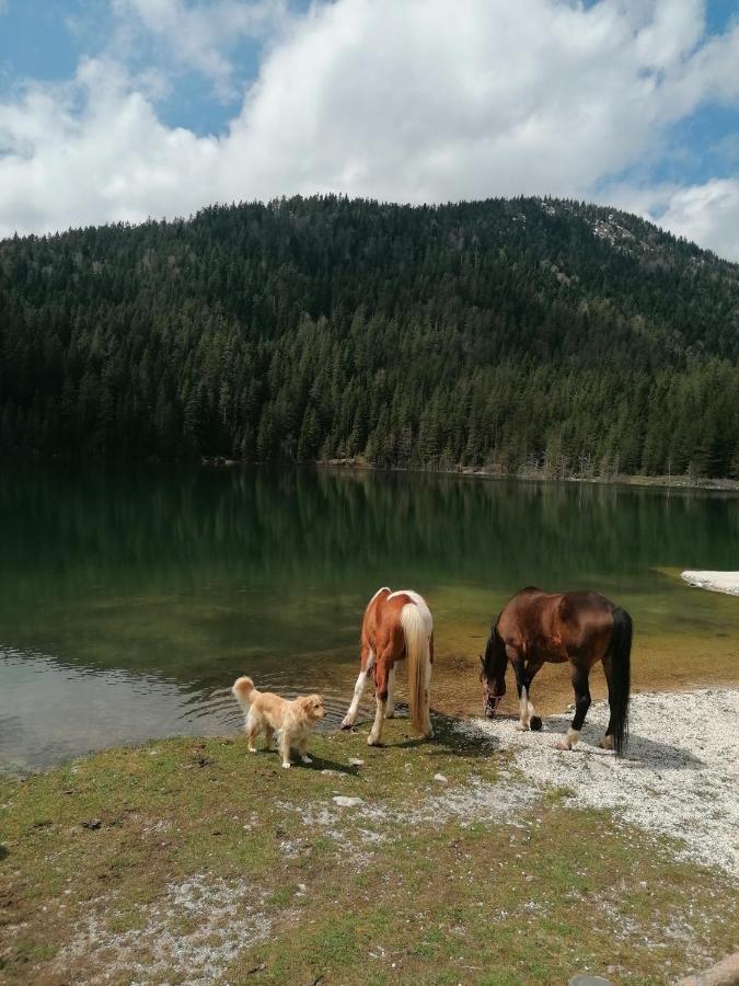 Zabljak_Vikendica Luaran gambar