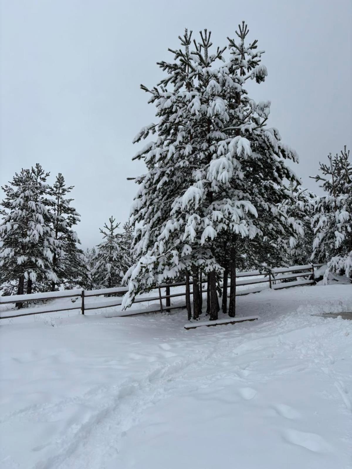 Zabljak_Vikendica Luaran gambar